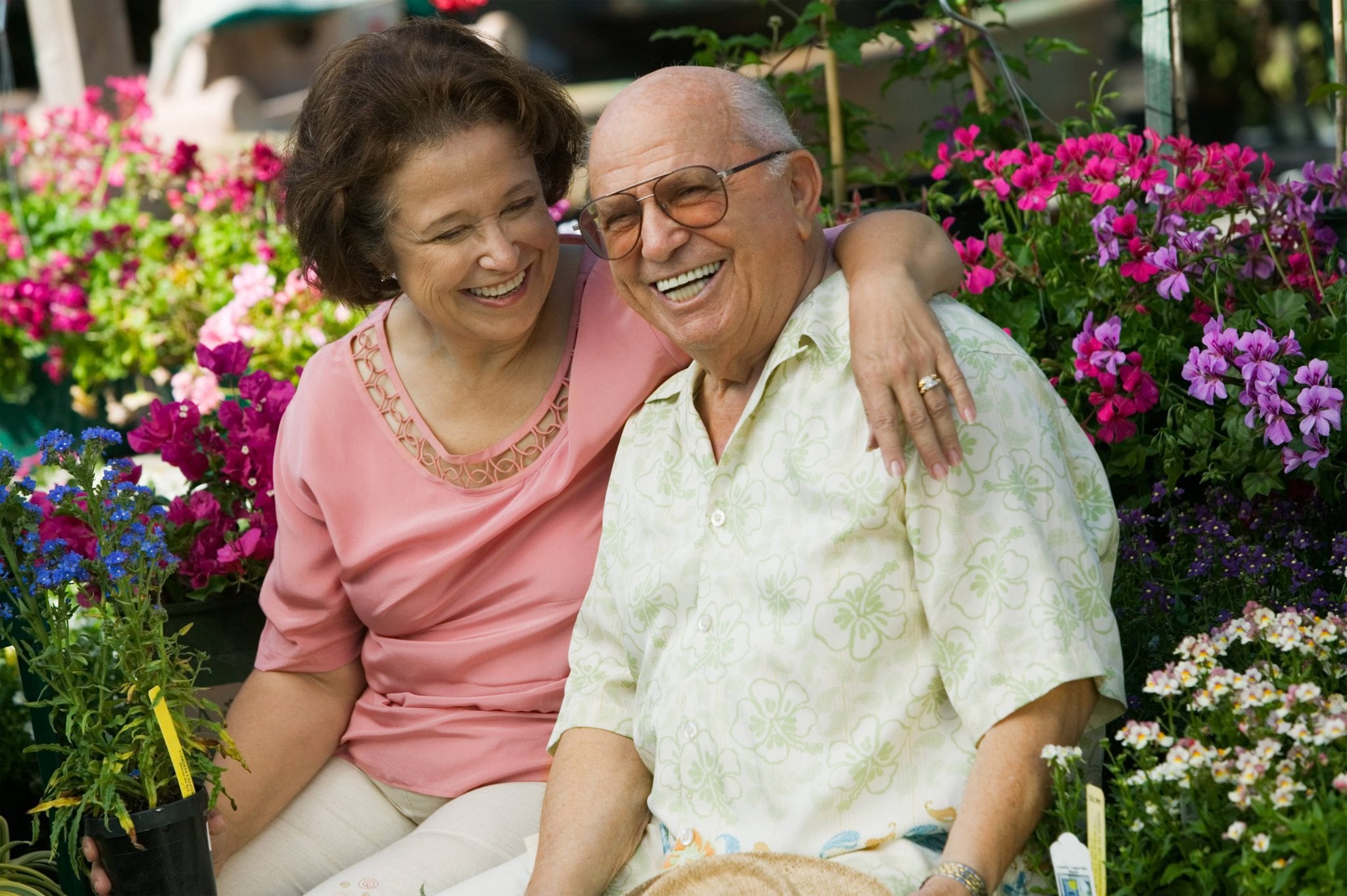 Celebrating National Senior Citizens Day