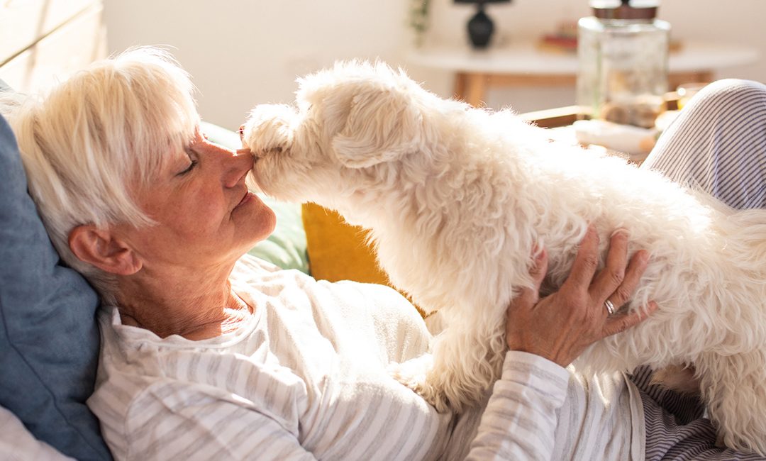 The Healing Power of Pets for Seniors