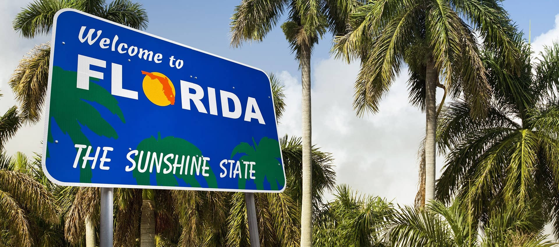 Florida Roots
