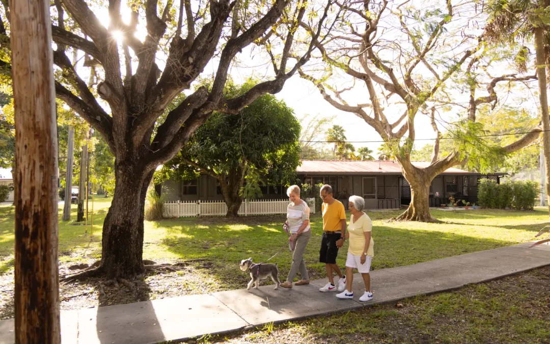 What Are the Best Companion Pets for Seniors?